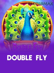 Double Fly